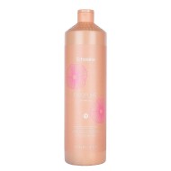 ECHOSLINE DISCIPLINE Shampoo – šampoon poorsetele juustele, 1000 ml