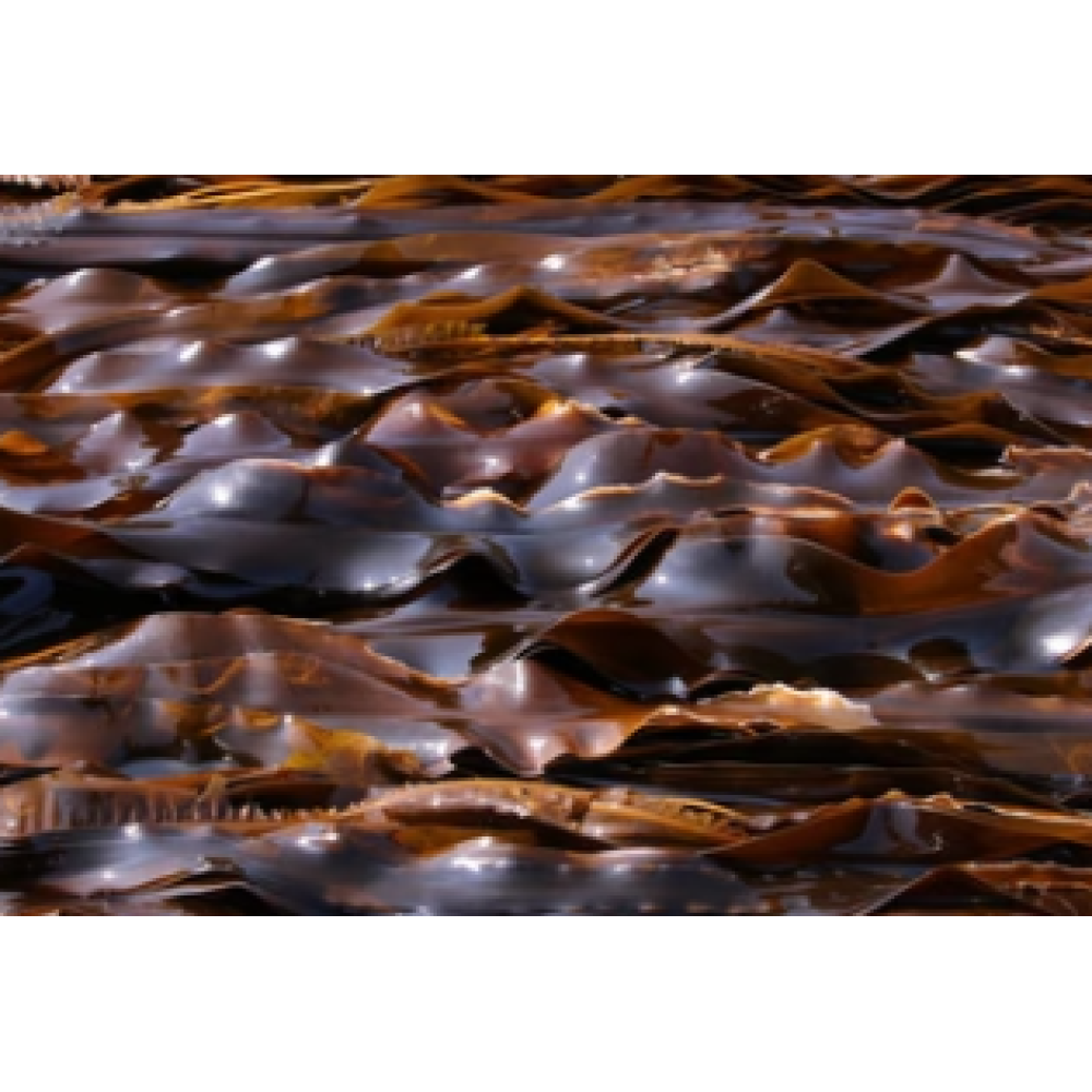 CARELIKA Exotic Body Scrub – kehakoorija greibi, meresoola ja mandariini eeterliku õliga, 200 ml