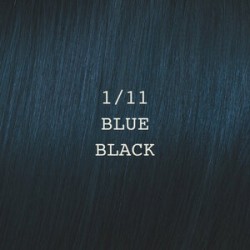 ELGON Moda&Styling Hair Colour - Kreemvärv juustele, 1/11 - BLUE BLACK / zīli melns