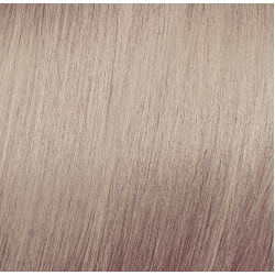 ELGON Tonalight - Professionaalne ammoniaagivaba tooniv juuksevärv, 10.23 - Plaatina beež-kuldne blond