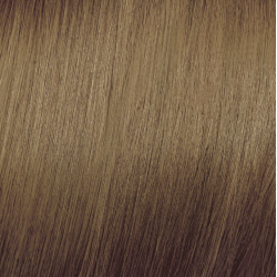 ELGON Tonalight - Professionaalne ammoniaagivaba tooniv juuksevärv, 8 - HELE BLOND