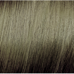 ELGON Tonalight - Professionaalne ammoniaagivaba tooniv juuksevärv, 8.31 - Šviesiai auksinis peleninis blondas