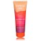 Inebrya Color Protection Mask — juuksevärvi kaitsev mask, 250 ml