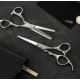 Lameo STAGE PRO SET OFFSET SILVER - Professionaalne juuksurikääride komplekt koos vutlariga (370.935)