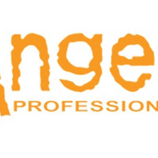 Angel Professional