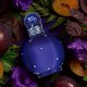 Britney Spears Midnight Fantasy, EDP - naiste parfüüm