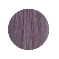 ETB Hair Permanent Color Cream - 10.2 - BLONDE PLATINUM IRIS