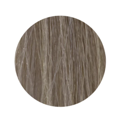 ETB Hair Permanent Color Cream - 11.1 - BLONDE ULTRA PLATINUM ASH