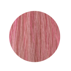 ETB Hair Permanent Color Cream - 11.26 - BLONDE ULTRA PLATINUM IRIS RED