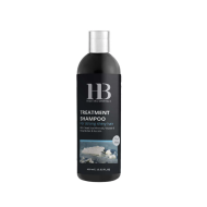 H&B Treatment Shampoo For Men - šampoon meestele, 400 ml