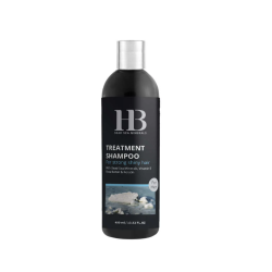 H&B Treatment Shampoo For Men - šampoon meestele, 400 ml
