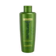 IMPERITY ORGANIC MI DOLLO DI BAMBOO Shampoo - Taastav šampoon loodusliku bambuseekstraktiga, 250 ml