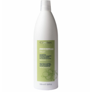 Oyster FRUIT SUBLIME Olive Shampoo - taastav šampoon, 1000 ml