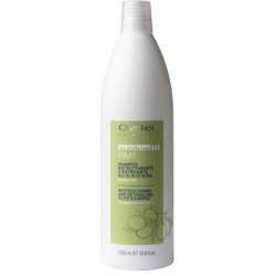Oyster FRUIT SUBLIME Olive Shampoo - taastav šampoon, 1000 ml
