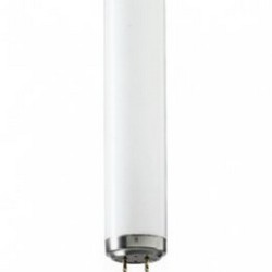 Solaariumilamp Max Warp 800 Longlife X-Press 0,3 120 W, 2 m