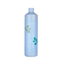 ECHOSLINE Balance+ Shampoo – seboregulatoorne šampoon, 1000 ml