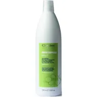 Oyster FRUIT SUBLIME Olive Shampoo - taastav šampoon, 1000 ml