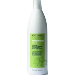 Oyster FRUIT SUBLIME Olive Shampoo - taastav šampoon, 1000 ml