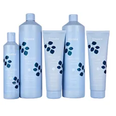 ECHOSLINE SAGEDASEKS KASUTAMISEKS