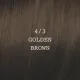 ELGON Moda&Styling Hair Colour - Kreemvärv juustele, 4/3 - GOLDEN BROWN / kuldpruun