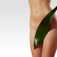 Sissekasvanud karvade vastu ja karvakasvu vähendamiseks