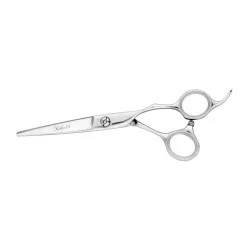 Professionaalsed käärid alustavatele juuksuritele Nikarma Niko III X 04 5,5