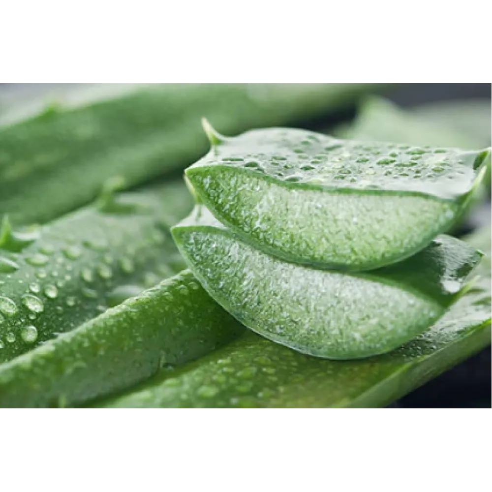 CARELIKA Pistaatsia kehavõi – niisutav ja toitaineterikas, nahka pehmendavate omadustega, 250 ml