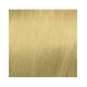 ELGON GET THE COLOR - kreemvärv juustele, 10/3 - PLATINUM GOLDEN BLONDE / platiin-kuldblond