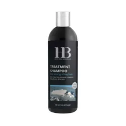 H&B Treatment Shampoo For Men - šampoon meestele, 400 ml