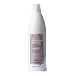 Oyster FRUIT SUBLIME Grape Extract Shampoo - Igapäevane šampoon, 1000 ml