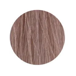 ETB Hair Permanent Color Cream - 10.12 - BLONDE PLATINUM ASH IRIS