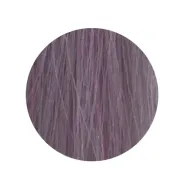 ETB Hair Permanent Color Cream - 10.2 - BLONDE PLATINUM IRIS