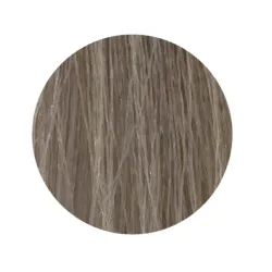 ETB Hair Permanent Color Cream - 11.1 - BLONDE ULTRA PLATINUM ASH