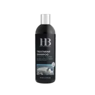 H&B Treatment Shampoo For Men - šampoon meestele, 400 ml