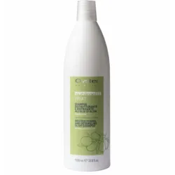 Oyster FRUIT SUBLIME Olive Shampoo - taastav šampoon, 1000 ml